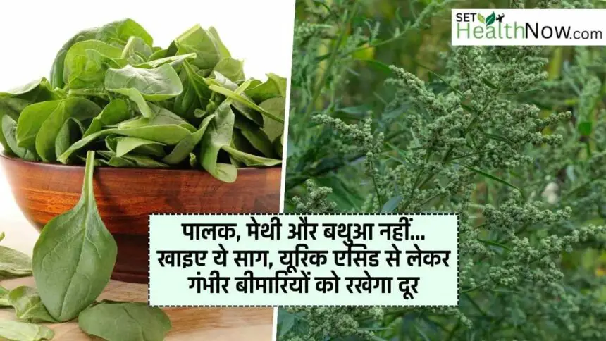 Don't eat these greens, it will keep you away from uric acid and other serious diseases!